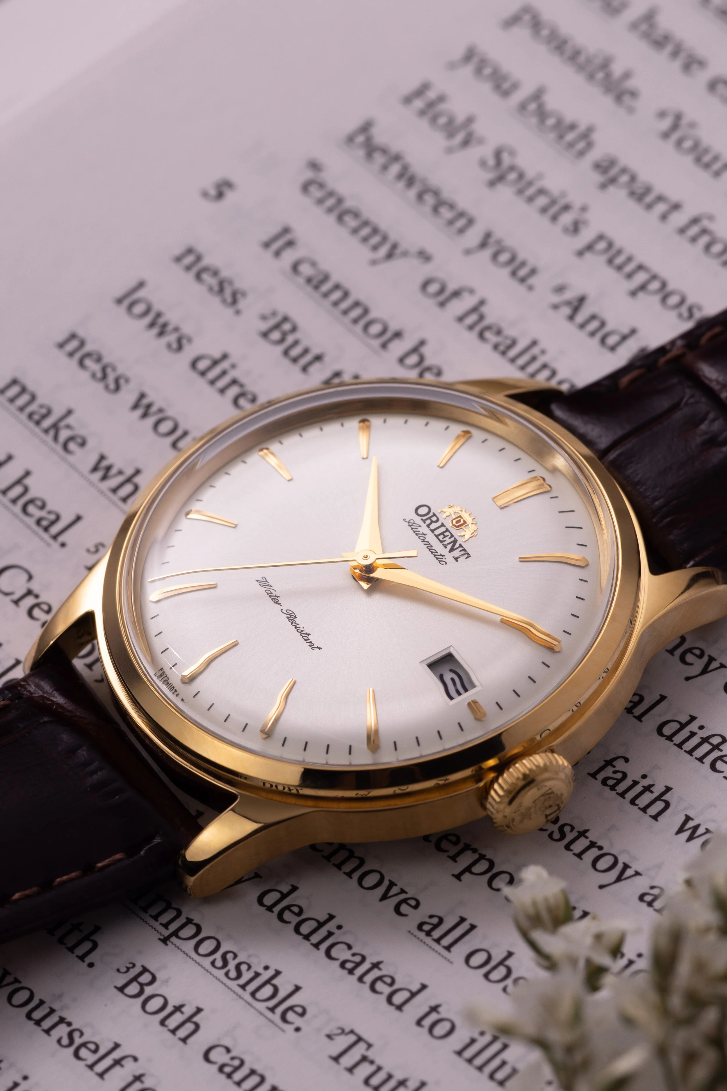 Orient Bambino Version 7 (38.4mm) - Image 3