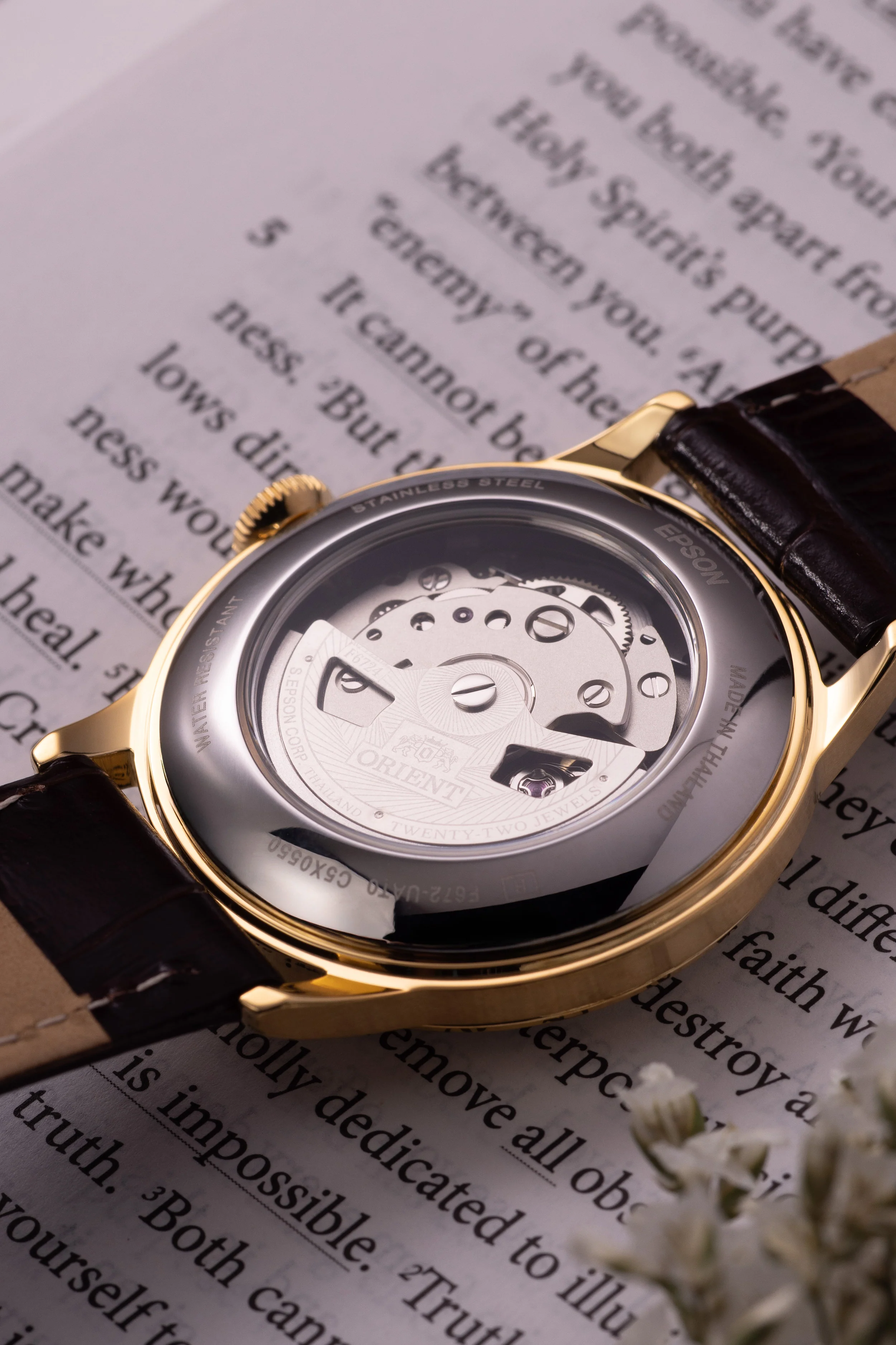 Orient Bambino Version 7 (38.4mm) - Image 4