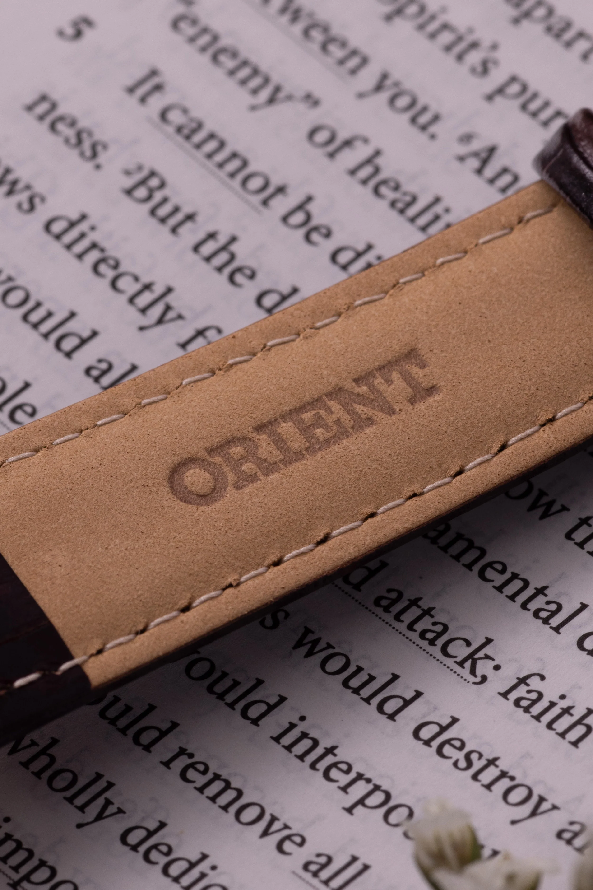 Orient Bambino Version 7 (38.4mm) - Image 5