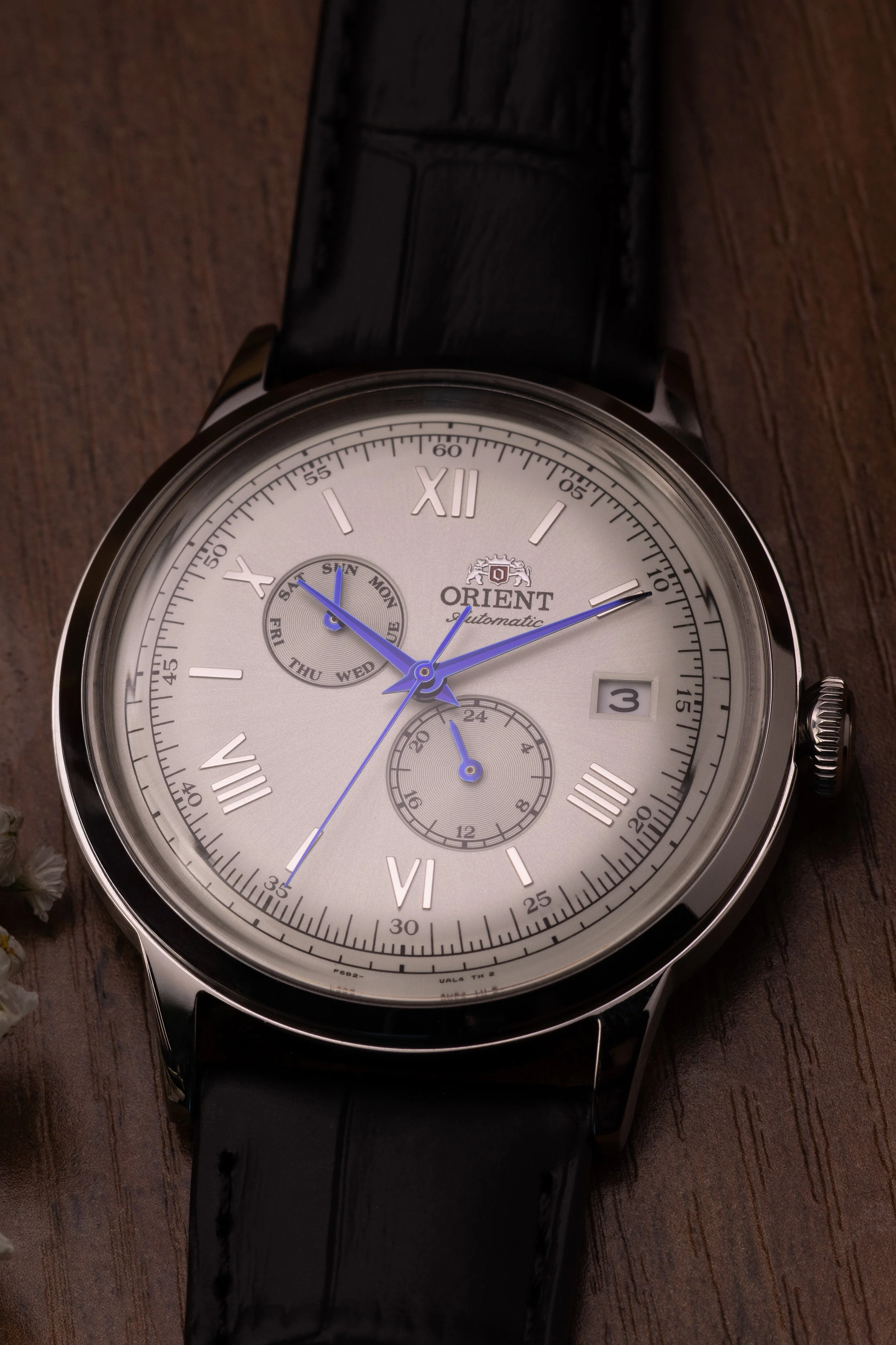 Orient Bambino Version 8 - Image 3
