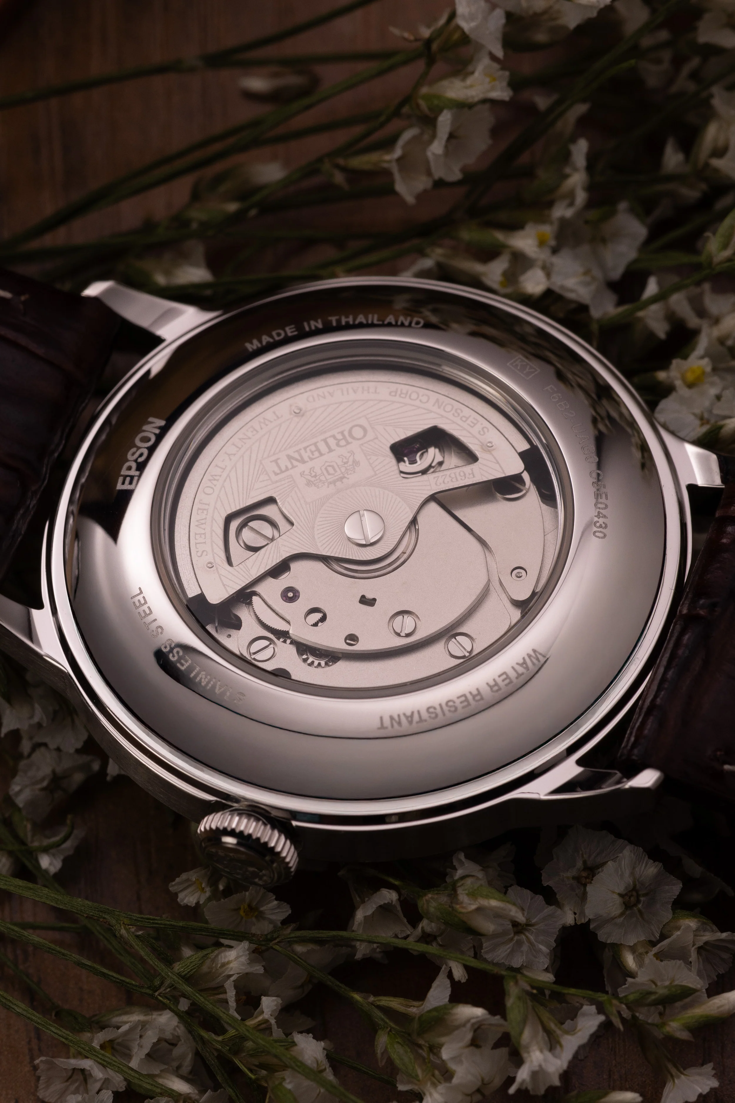 Orient Bambino Version 8 - Image 6