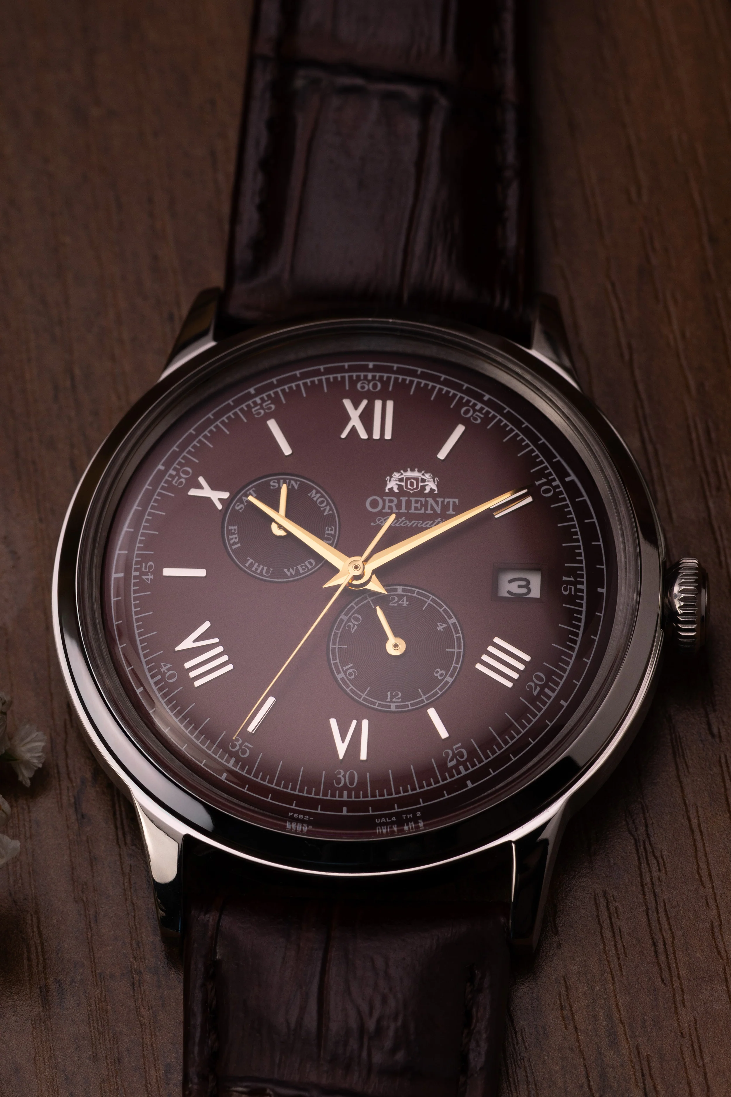 Orient Bambino Version 8 - Image 3