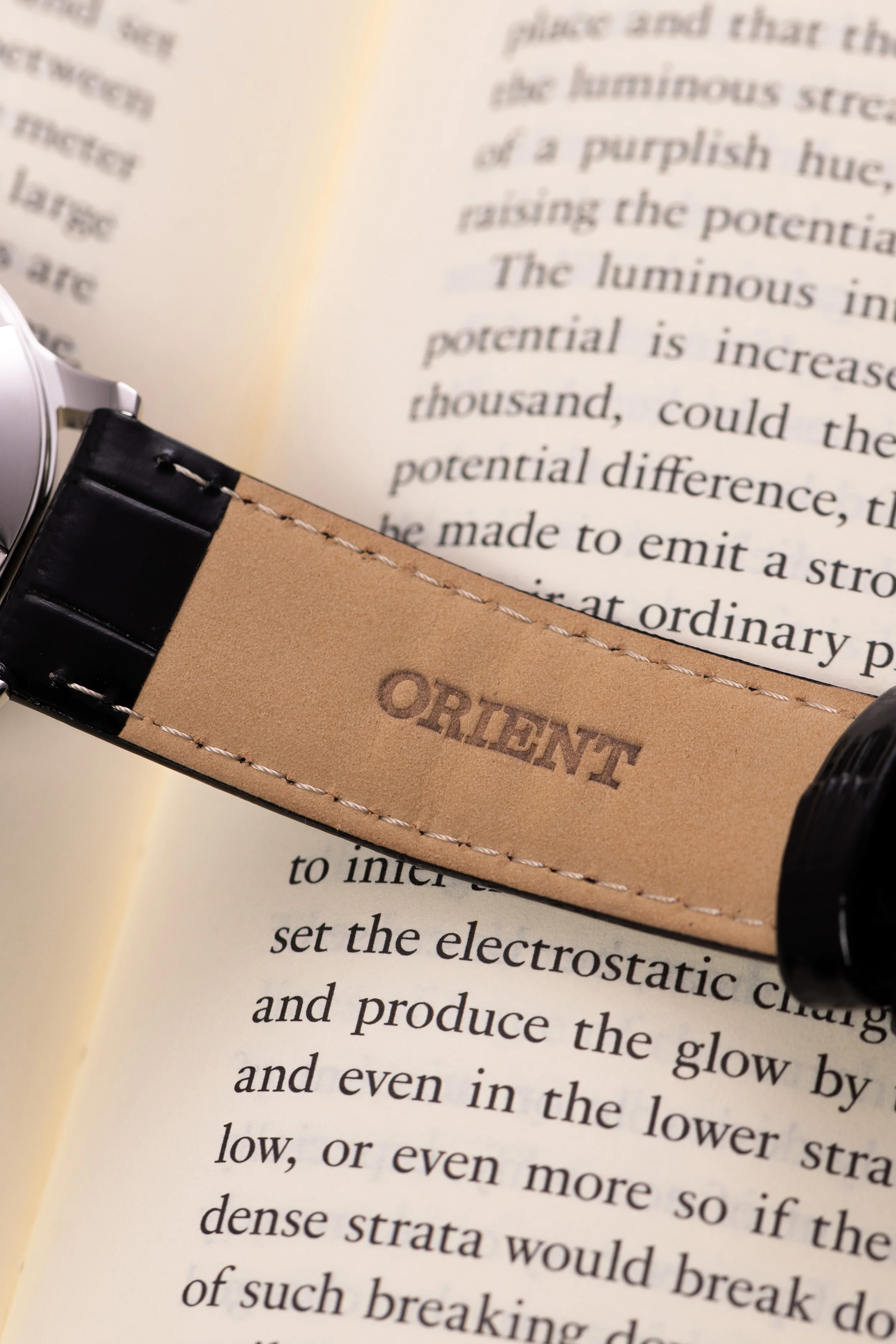 Orient Bambino Version 2 - Image 5